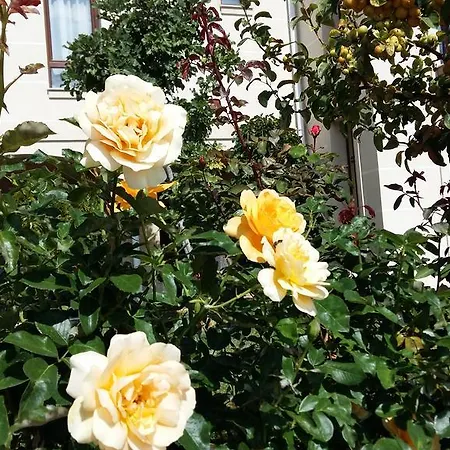 Apart Otel Sorrento Sole Mare