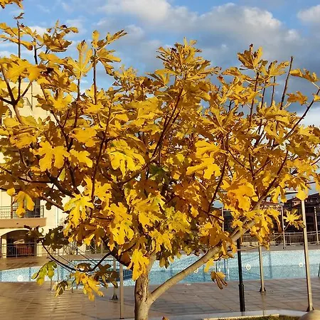 Apart Otel Sorrento Sole Mare