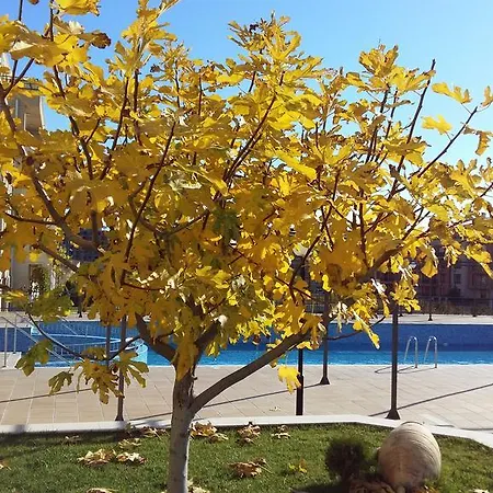 Sorrento Sole Mare 3*