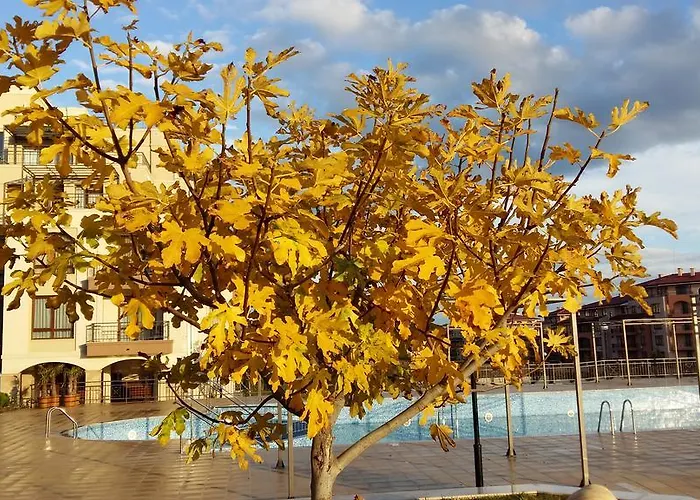 아파트호텔 Sorrento Sole Mare