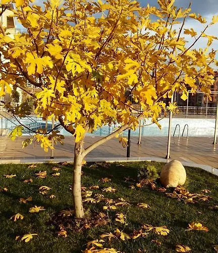 아파트호텔 Sorrento Sole Mare 3*