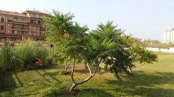 아파트호텔 Sorrento Sole Mare